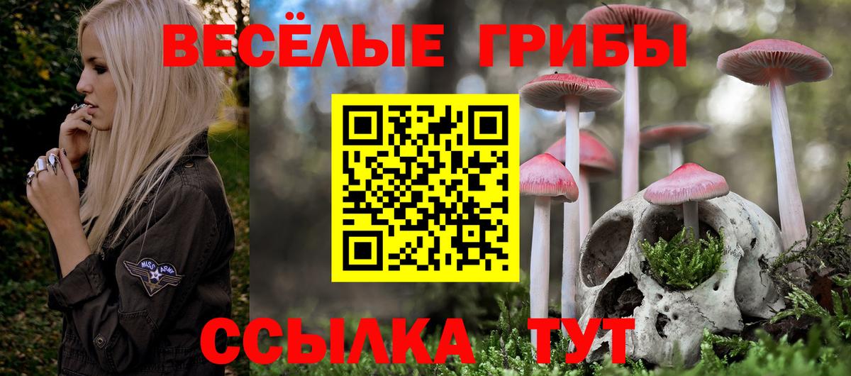 Ртищево  Галлюциногенные грибы мицелий  Вход с VPN 