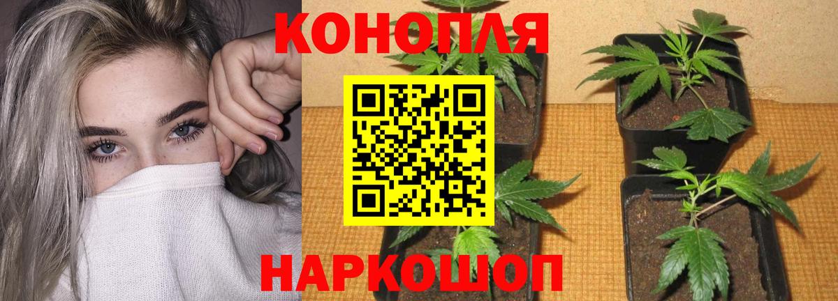 Марихуана SATIVA & INDICA  Марихуана OG Kush  Вход с VPN  Ртищево 
